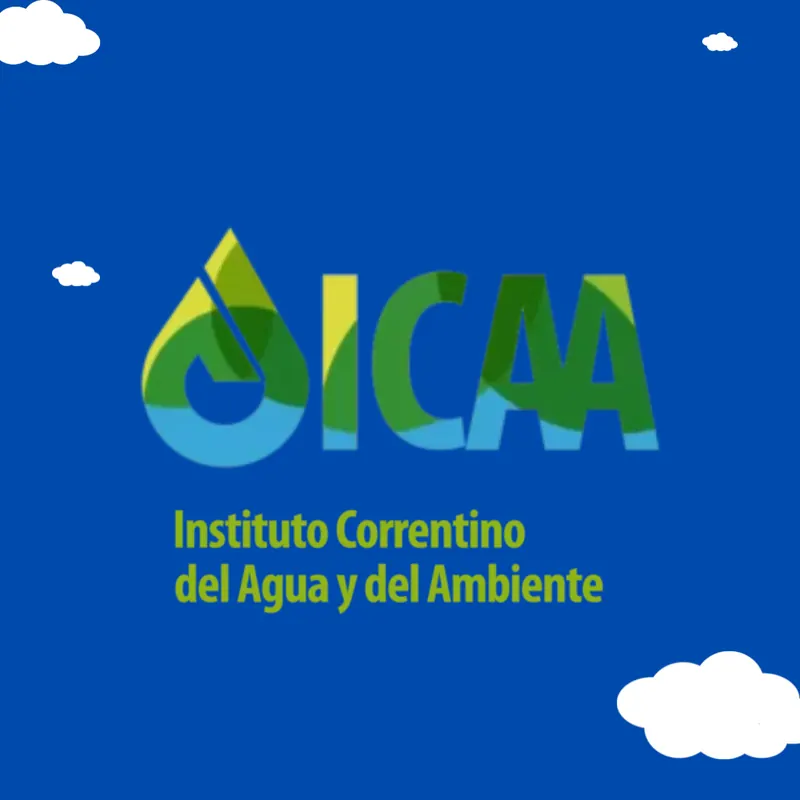Captura del sitio web de ICAA